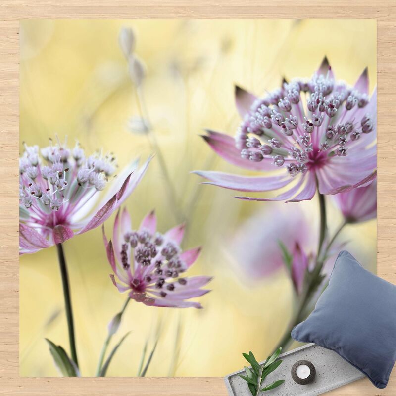 

Alfombras vinílicas - Astrantia Major - Cuadrado 1:1 Dimensión LxA: 140cm x 140cm