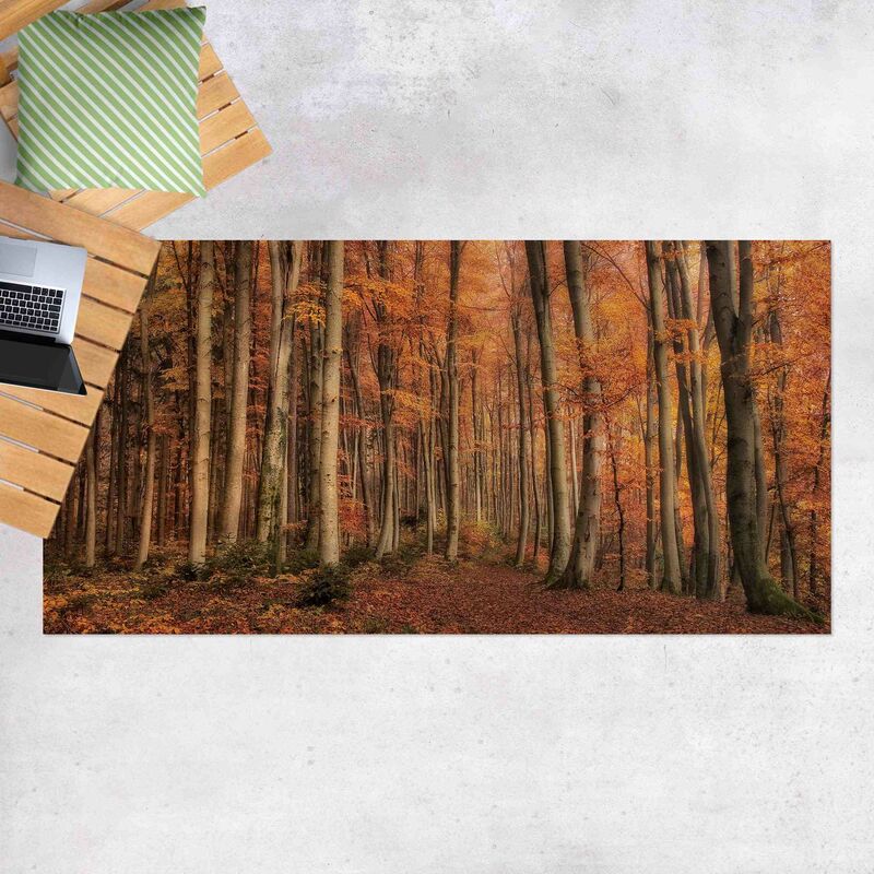 

Bilderwelten - Alfombras vinílicas - Autumn Stroll - Apaisado 1:2 Dimensión LxA: 90cm x 180cm