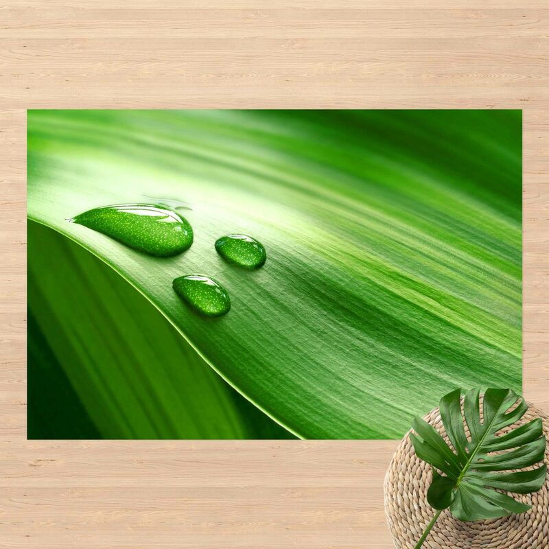 

Alfombras vinílicas - Banana Leaf With Drops - Apaisado 2:3 Dimensión LxA: 100cm x 150cm