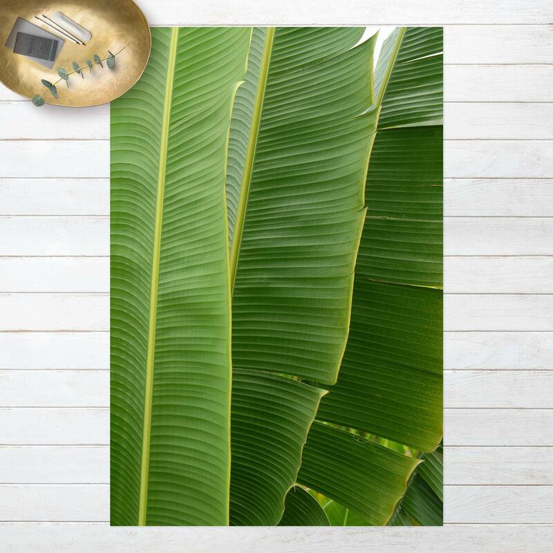 

Alfombras vinílicas - Banana Leaves - Alto 3:2 Dimensión LxA: 180cm x 120cm