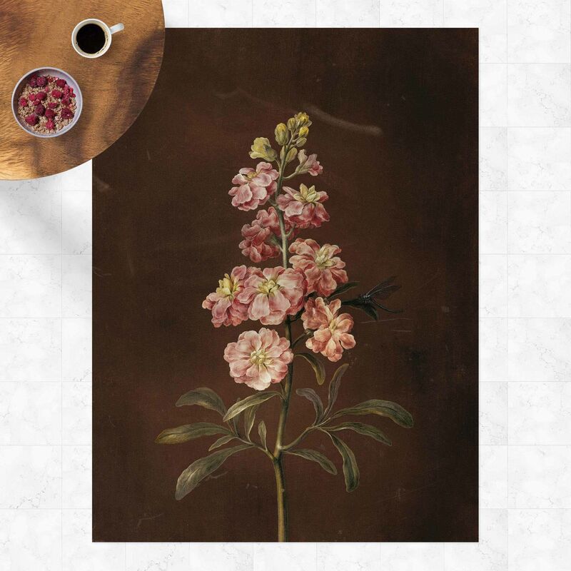 

Alfombras vinílicas - Barbara Regina Dietzsch - A Light Pink Gillyflower - Alto 4:3 Dimensión LxA: 100cm x 75cm