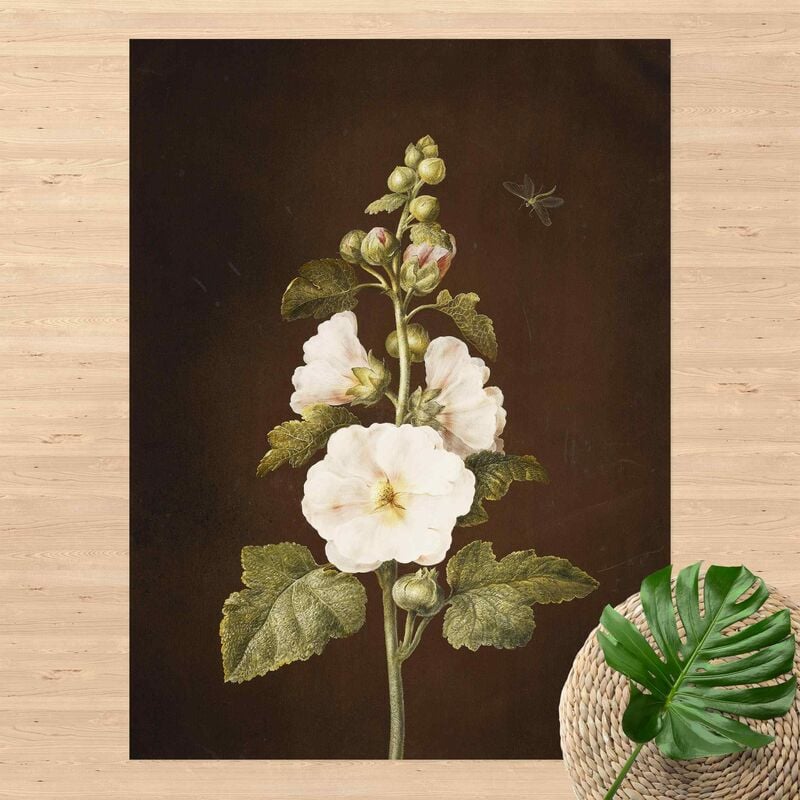 

Alfombras vinílicas - Barbara Regina Dietzsch - Hollyhock - Alto 4:3 Dimensión LxA: 80cm x 60cm