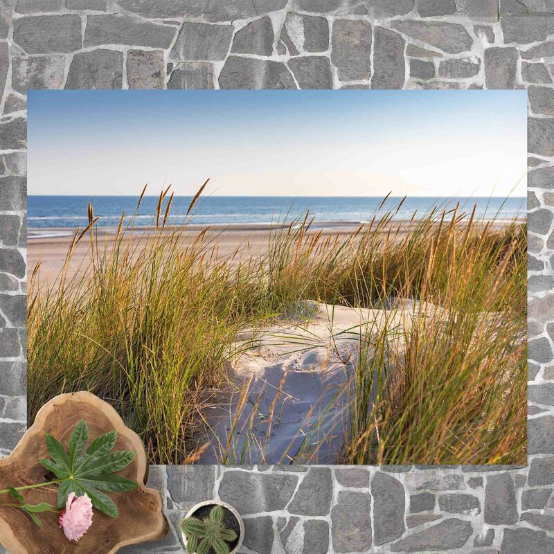 

Alfombras vinílicas - Beach Dune At The Sea - Apaisado 3:4 Dimensión LxA: 60cm x 80cm