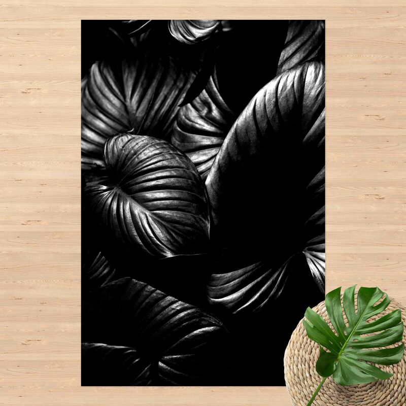 

Alfombras vinílicas - Black And White Botany Hosta - Alto 3:2 Dimensión LxA: 120cm x 80cm