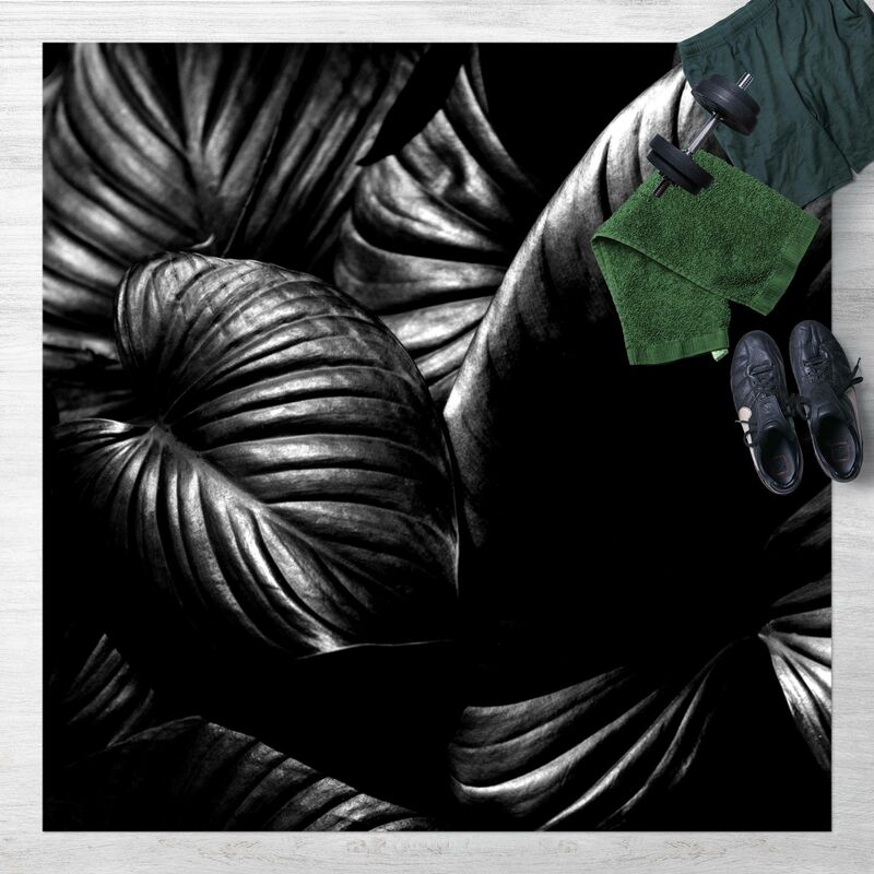 

Alfombras vinílicas - Black And White Botany Hosta - Cuadrado 1:1 Dimensión LxA: 80cm x 80cm