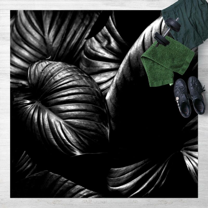 

Alfombras vinílicas - Black And White Botany Hosta - Cuadrado 1:1 Dimensión LxA: 60cm x 60cm