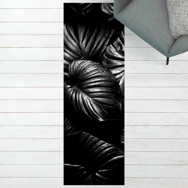 

Bilderwelten - Alfombras vinílicas - Black And White Botany Hosta - Panorámico Dimensión LxA: 210cm x 70cm