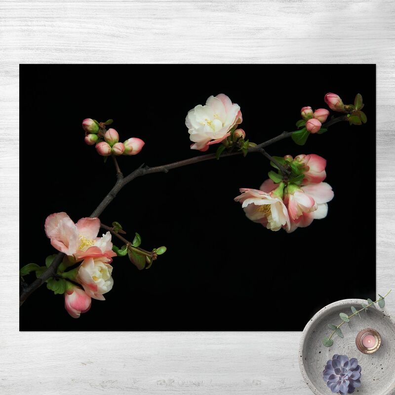 

Alfombras vinílicas - Blossoming Branch Apple Tree - Apaisado 3:4 Dimensión LxA: 45cm x 60cm