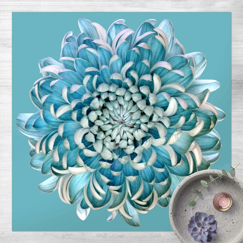 

Bilderwelten - Alfombras vinílicas - Blue Chrysanthemum - Cuadrado 1:1 Dimensión LxA: 40cm x 40cm