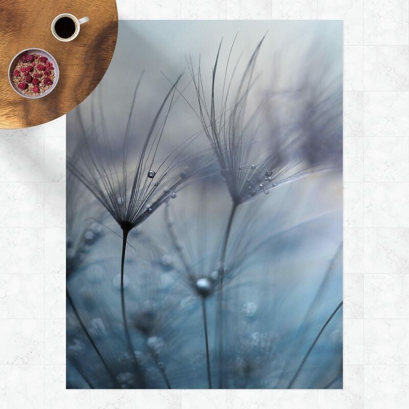 

Alfombras vinílicas - Blue feathers In The Rain - Alto 4:3 Dimensión LxA: 100cm x 75cm