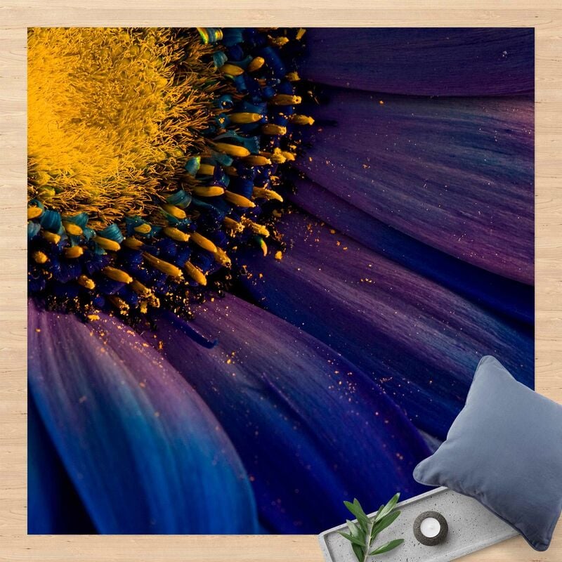 

Alfombras vinílicas - Blue Gerbera Flower - Cuadrado 1:1 Dimensión LxA: 80cm x 80cm