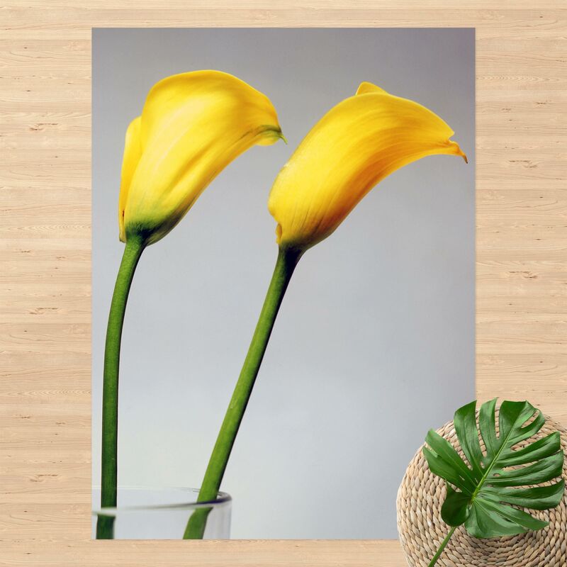 

Alfombras vinílicas - Bright Calla - Alto 4:3 Dimensión LxA: 80cm x 60cm
