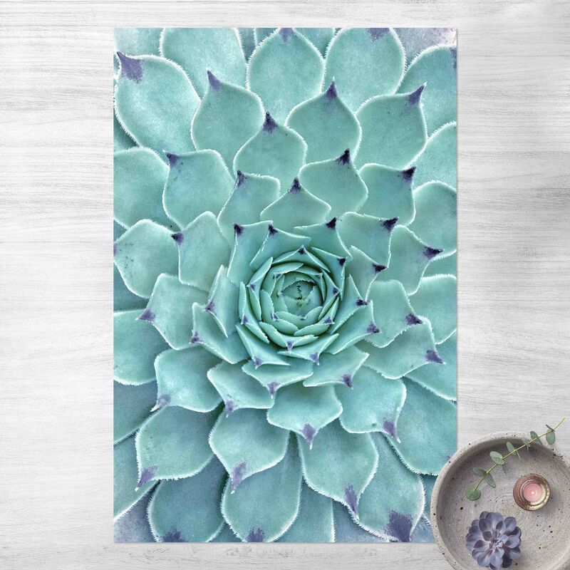

Alfombras vinílicas - Cactus Agave - Alto 3:2 Dimensión LxA: 60cm x 40cm