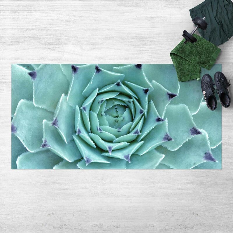 

Bilderwelten - Alfombras vinílicas - Cactus Agave - Apaisado 1:2 Dimensión LxA: 140cm x 280cm