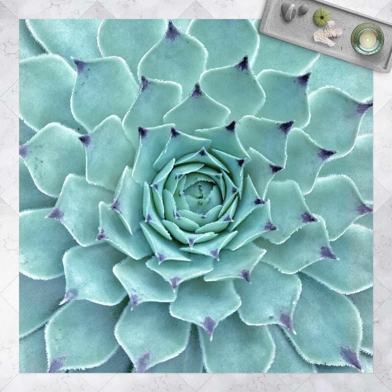 

Alfombras vinílicas - Cactus Agave - Cuadrado 1:1 Dimensión LxA: 80cm x 80cm