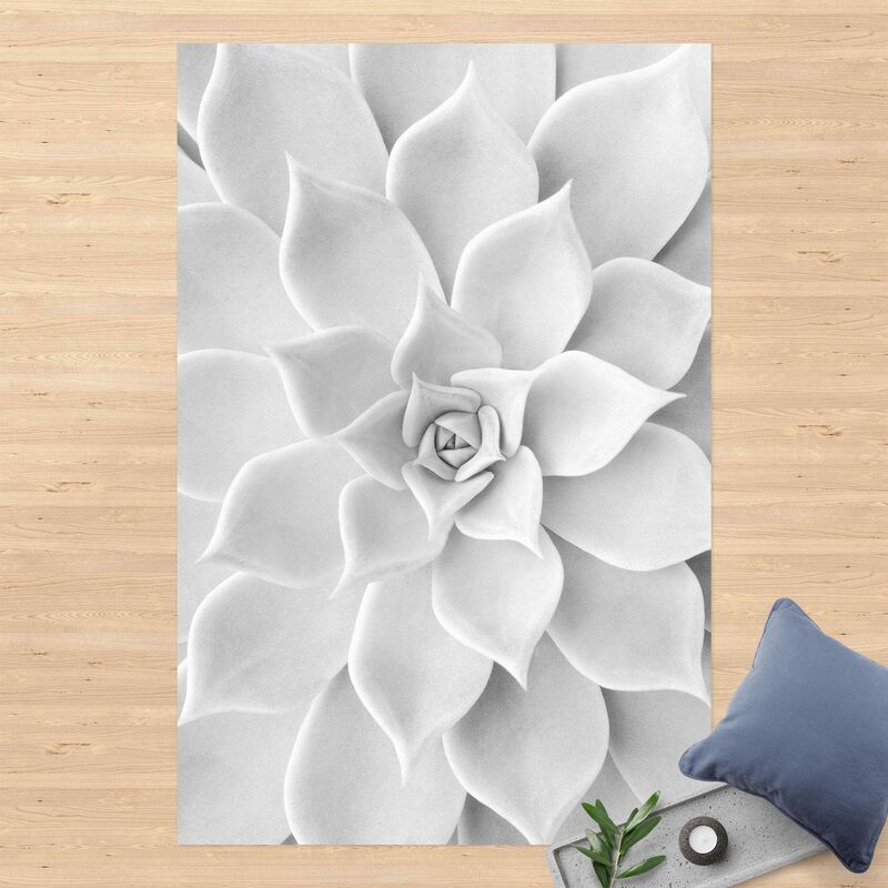 

Alfombras vinílicas - Cactus Succulent - Alto 3:2 Dimensión LxA: 210cm x 140cm