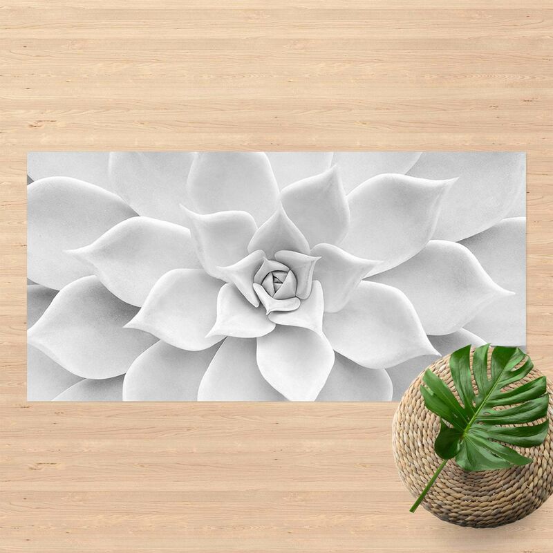 

Bilderwelten - Alfombras vinílicas - Cactus Succulent - Apaisado 1:2 Dimensión LxA: 130cm x 260cm