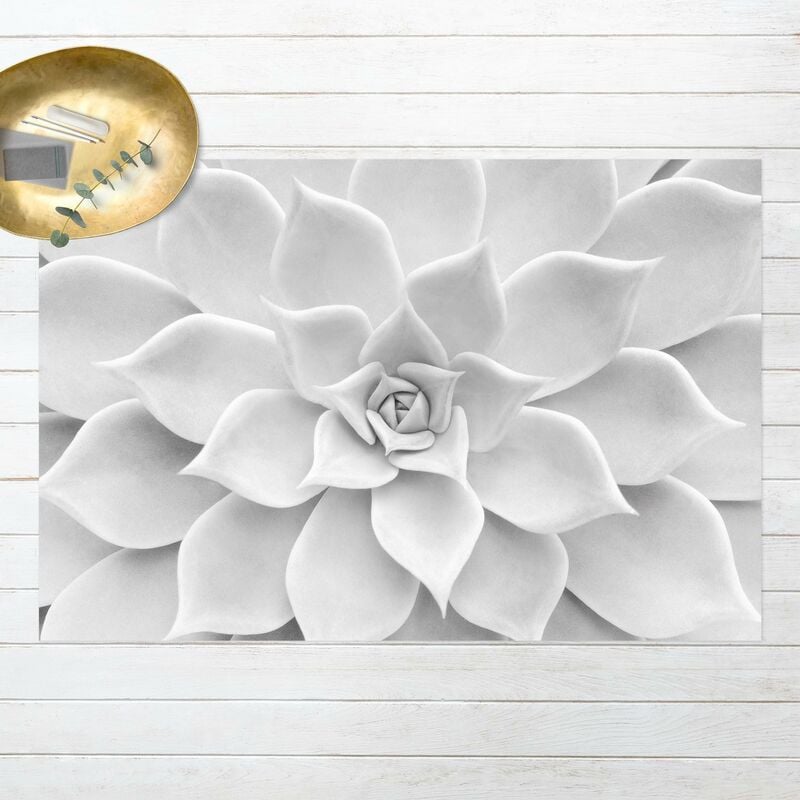 

Alfombras vinílicas - Cactus Succulent - Apaisado 2:3 Dimensión LxA: 120cm x 180cm