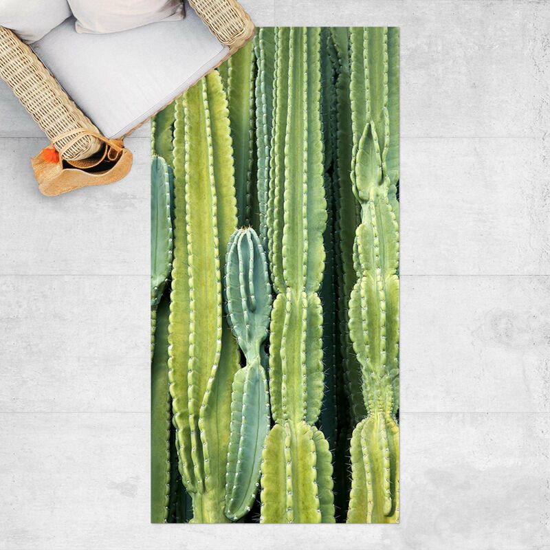 

Alfombras vinílicas - Cactus Wall - Alto 2:1 Dimensión LxA: 200cm x 100cm