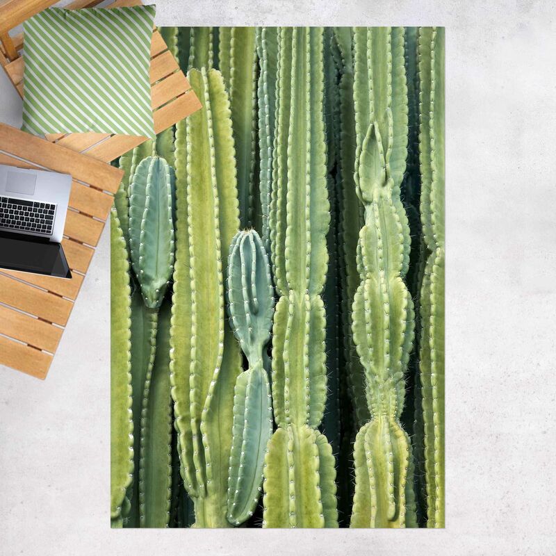 

Alfombras vinílicas - Cactus Wall - Alto 3:2 Dimensión LxA: 120cm x 80cm