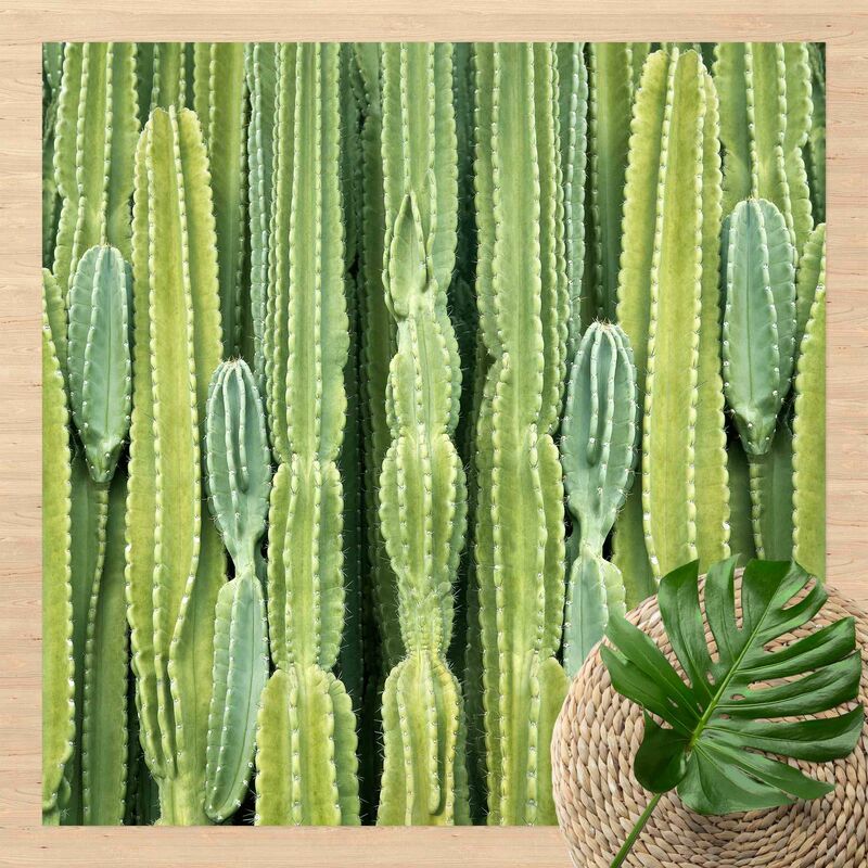 

Alfombras vinílicas - Cactus Wall - Cuadrado 1:1 Dimensión LxA: 100cm x 100cm