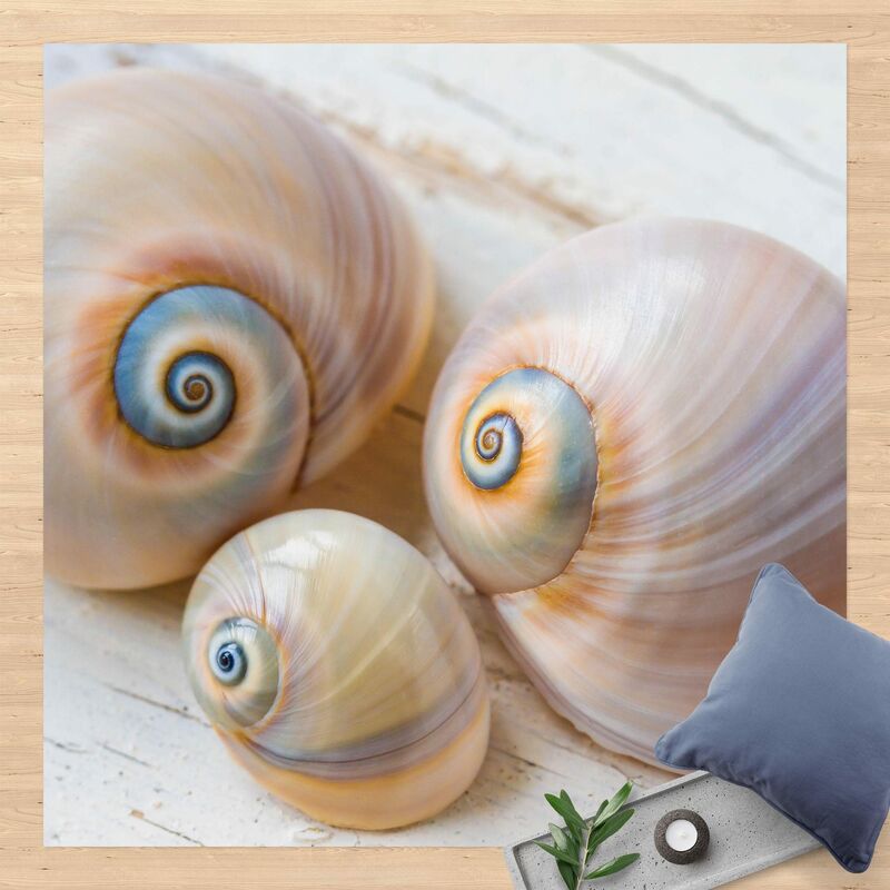 

Bilderwelten - Alfombras vinílicas - Clam Trio On Wood - Cuadrado 1:1 Dimensión LxA: 120cm x 120cm