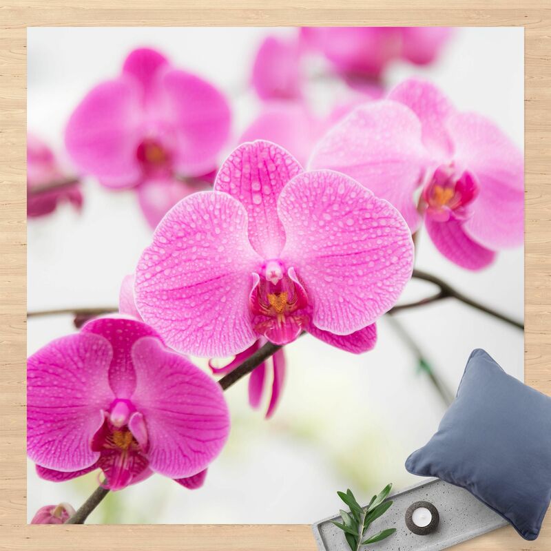 

Alfombras vinílicas - Close-Up Orchid - Cuadrado 1:1 Dimensión LxA: 80cm x 80cm