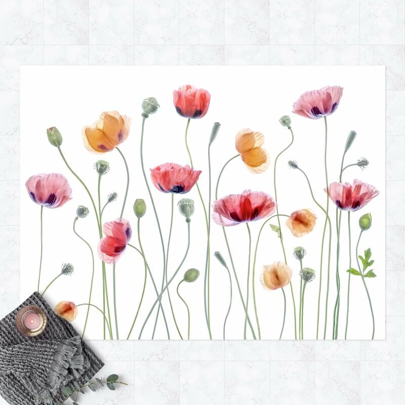 

Alfombras vinílicas - Corn Poppy Party - Apaisado 3:4 Dimensión LxA: 90cm x 120cm
