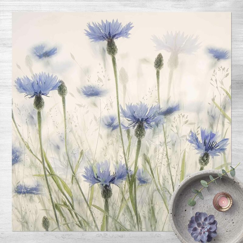 

Alfombras vinílicas - Cornflowers And Grasses In A Field - Cuadrado 1:1 Dimensión LxA: 60cm x 60cm