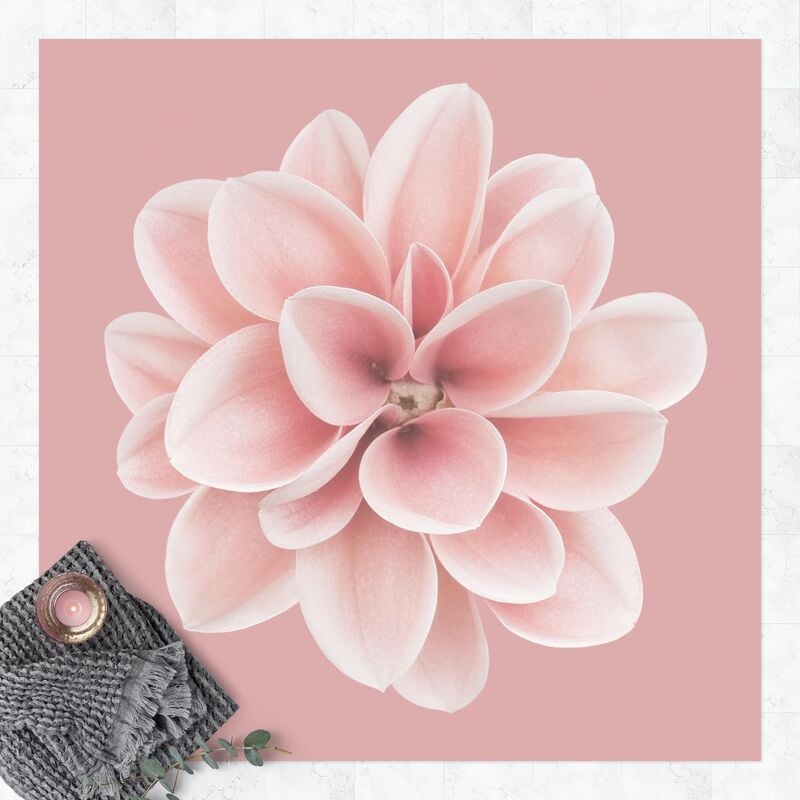 

Bilderwelten - Alfombras vinílicas - Dahlia Pink Blush Flower Centered - Cuadrado 1:1 Dimensión LxA: 120cm x 120cm