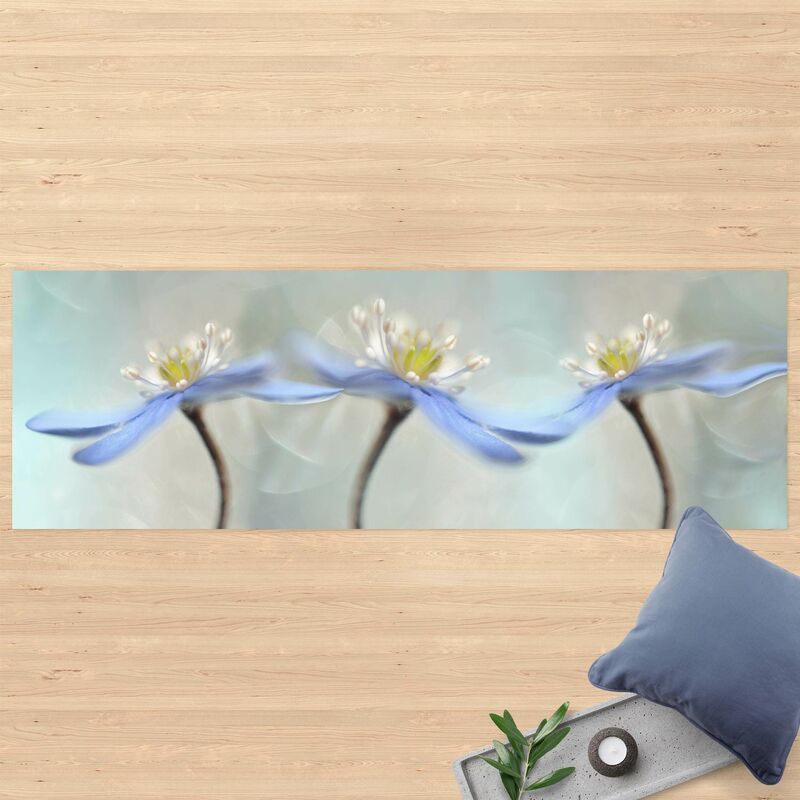 

Alfombras vinílicas - Dancing Anemone - Panorama Formato apaisado Dimensión LxA: 80cm x 240cm