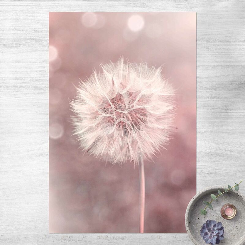 

Bilderwelten - Alfombras vinílicas - Dandelion Bokeh Light Pink - Alto 3:2 Dimensión LxA: 210cm x 140cm