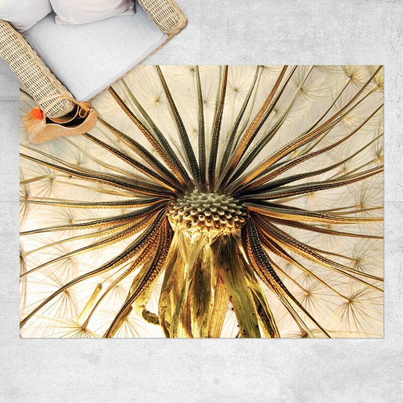

Alfombras vinílicas - Dandelion Close Up - Apaisado 3:4 Dimensión LxA: 45cm x 60cm
