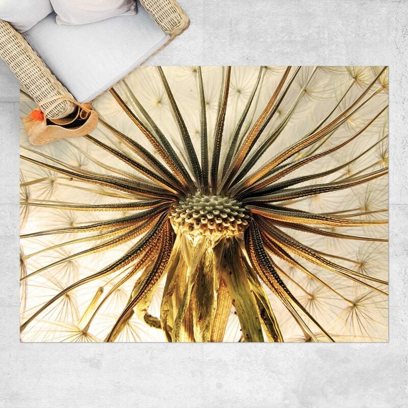 

Alfombras vinílicas - Dandelion Close Up - Apaisado 3:4 Dimensión LxA: 60cm x 80cm