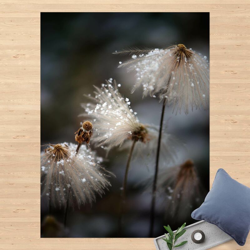 

Alfombras vinílicas - Dandelion With Snowflakes - Alto 4:3 Dimensión LxA: 100cm x 75cm