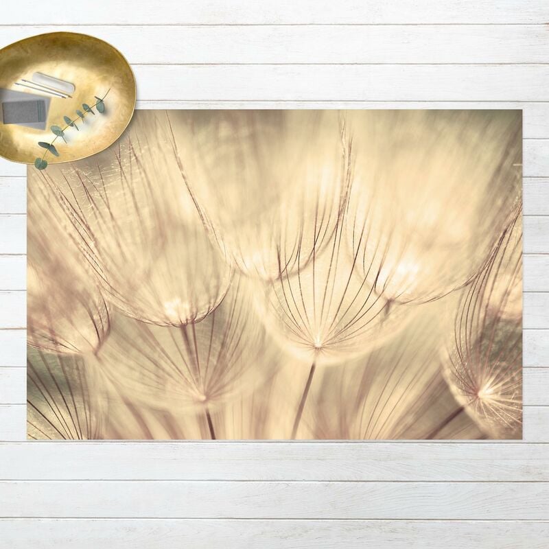 

Alfombras vinílicas - Dandelions Close-Up In Cozy Sepia Tones - Apaisado 2:3 Dimensión LxA: 60cm x 90cm