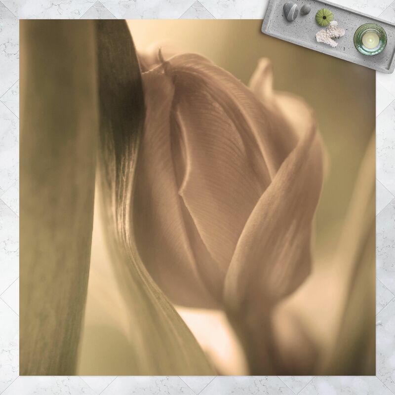 

Bilderwelten - Alfombras vinílicas - Delicate Tulip - Cuadrado 1:1 Dimensión LxA: 120cm x 120cm