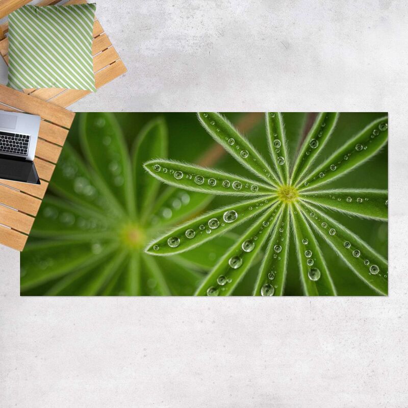 

Bilderwelten - Alfombras vinílicas - Dewtrops On Lupin Leaves - Apaisado 1:2 Dimensión LxA: 120cm x 240cm