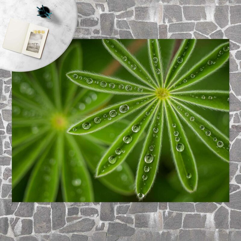 

Alfombras vinílicas - Dewtrops On Lupin Leaves - Apaisado 3:4 Dimensión LxA: 90cm x 120cm