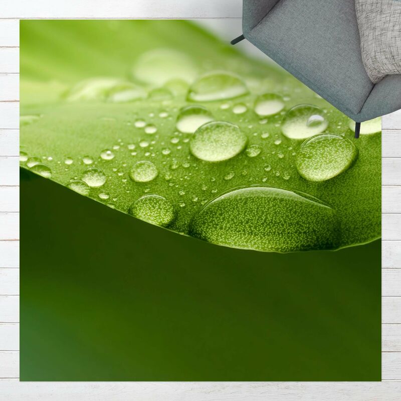 

Bilderwelten - Alfombras vinílicas - Drops Of Nature - Cuadrado 1:1 Dimensión LxA: 140cm x 140cm
