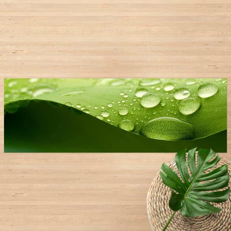 

Alfombras vinílicas - Drops Of Nature - Panorama Formato apaisado Dimensión LxA: 70cm x 210cm