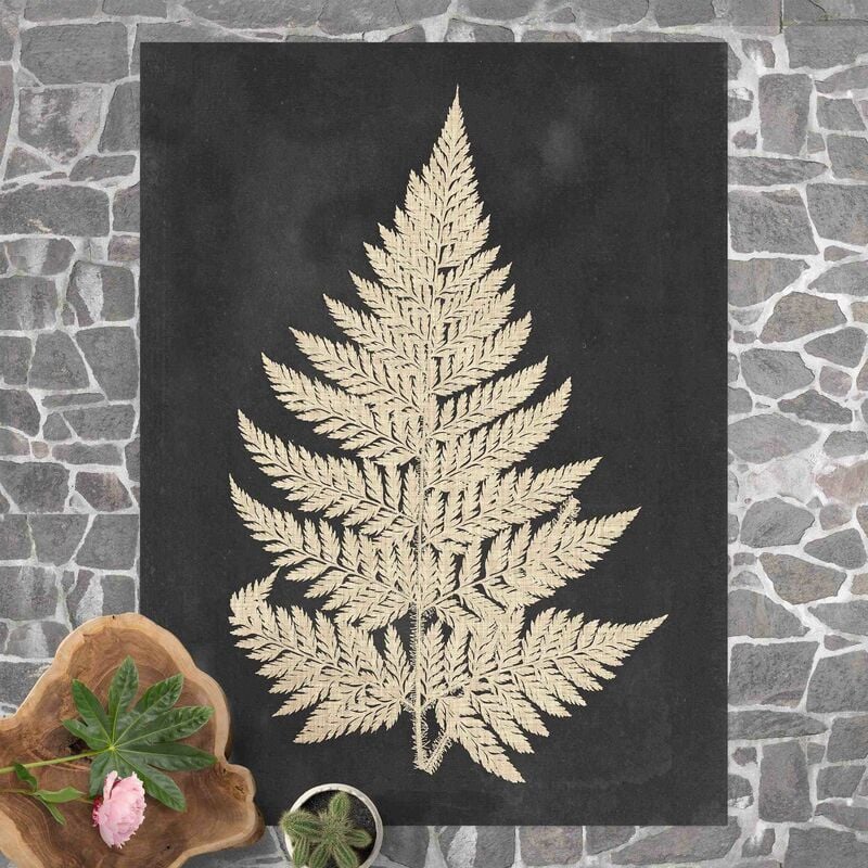

Alfombras vinílicas - Fern With Linen Structure I - Alto 4:3 Dimensión LxA: 120cm x 90cm