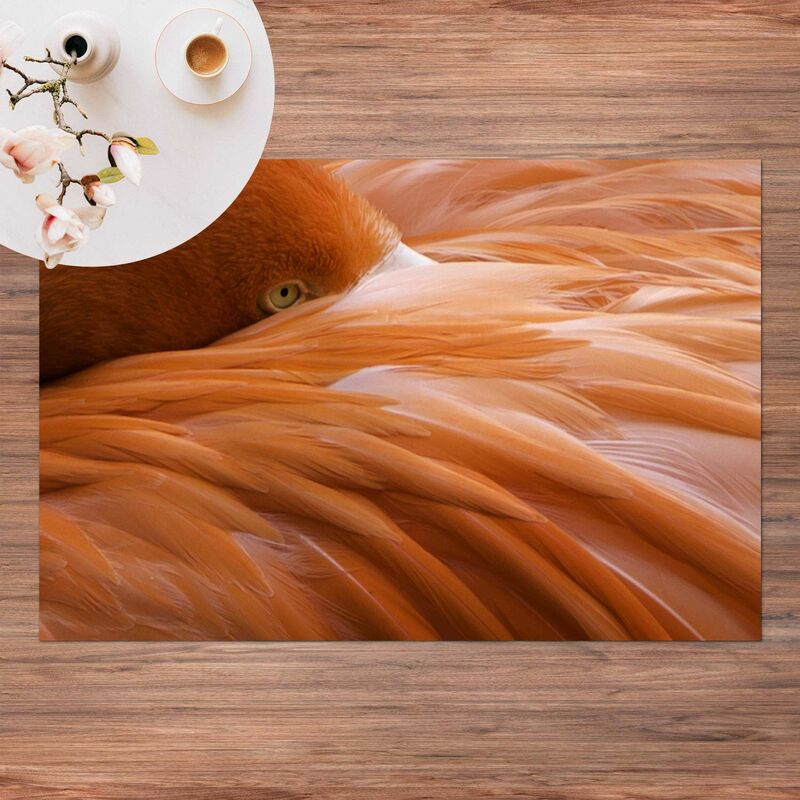 

Alfombras vinílicas - Flamingo Feathers - Apaisado 2:3 Dimensión LxA: 40cm x 60cm