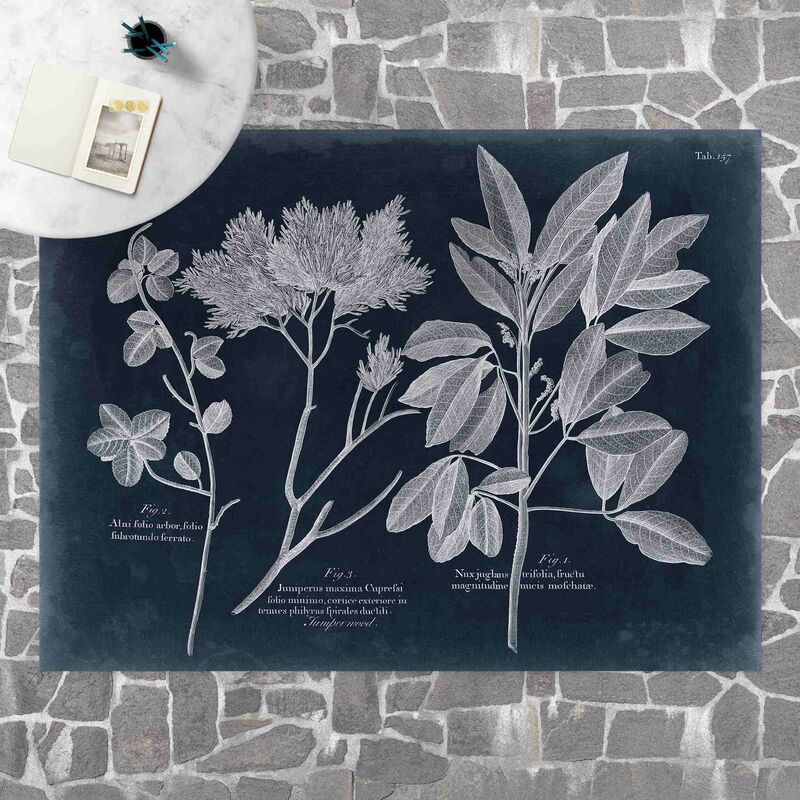 

Alfombras vinílicas - Foliage Dark Bllue - Juniper - Apaisado 3:4 Dimensión LxA: 120cm x 160cm