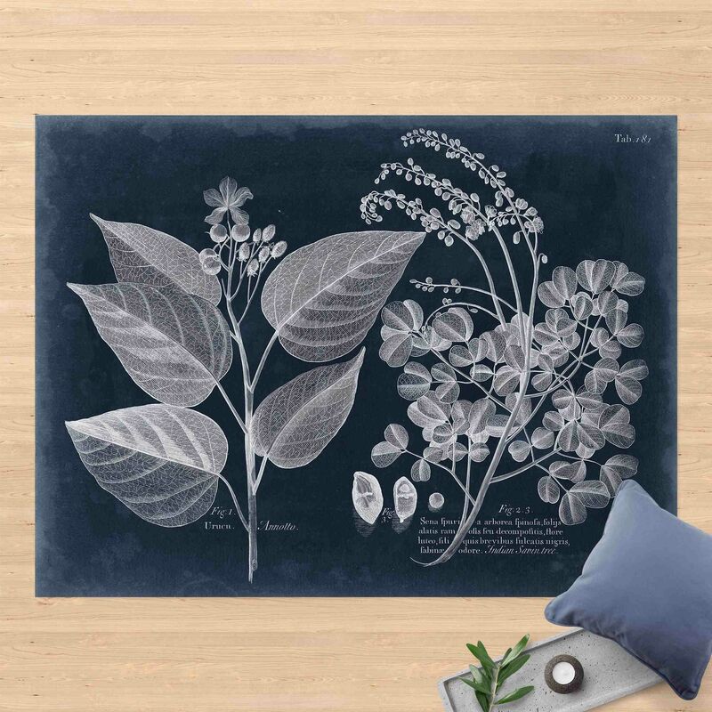 

Alfombras vinílicas - Foliage Dark Blue - Annotto - Apaisado 3:4 Dimensión LxA: 45cm x 60cm