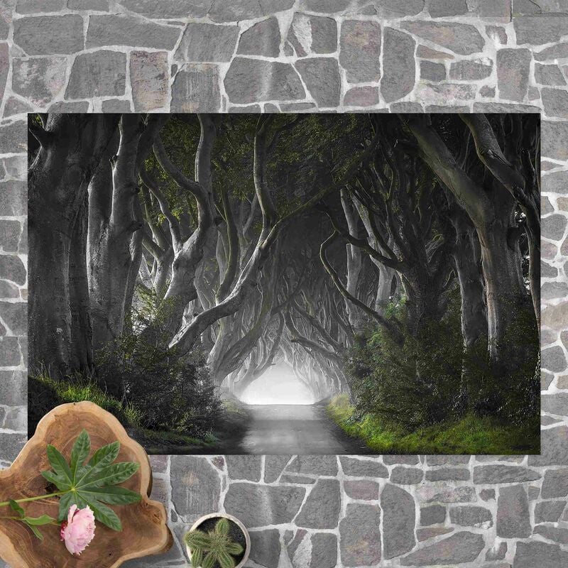 

Alfombras vinílicas - Forest In Northern Ireland - Apaisado 2:3 Dimensión LxA: 100cm x 150cm