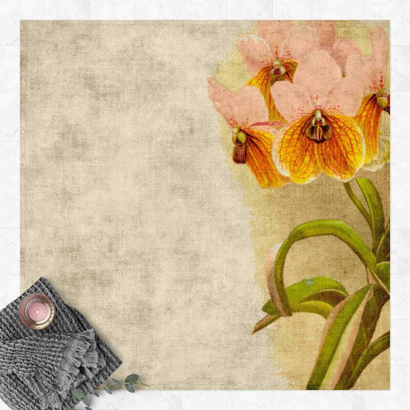 

Alfombras vinílicas - Forgotten Beauties III - Cuadrado 1:1 Dimensión LxA: 100cm x 100cm