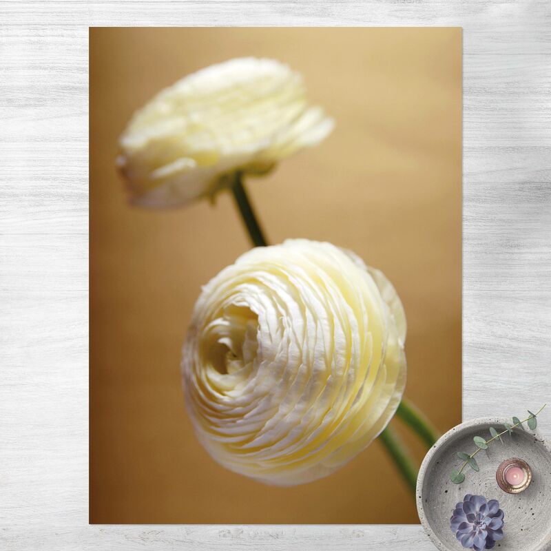 

Alfombras vinílicas - Golden Buttercup - Alto 4:3 Dimensión LxA: 100cm x 75cm