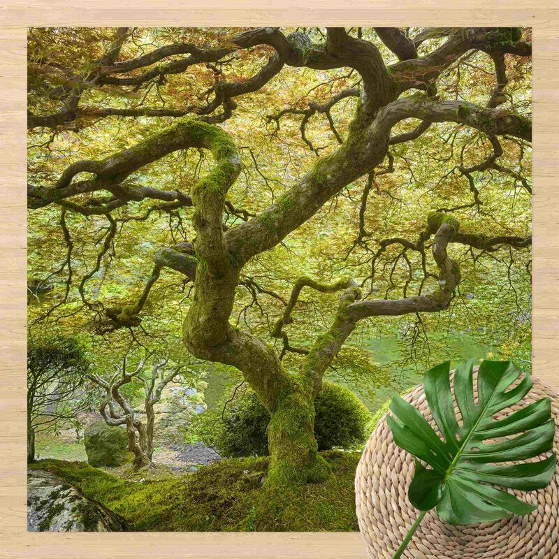 

Alfombras vinílicas - Green Japanese Garden - Cuadrado 1:1 Dimensión LxA: 60cm x 60cm
