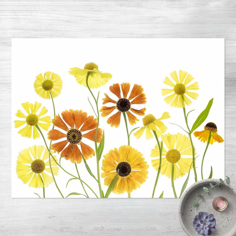 

Alfombras vinílicas - Helenium - Apaisado 3:4 Dimensión LxA: 60cm x 80cm
